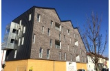 23 logements et 2 cellules commerciales écoquartier Heudelet 11 à Dijon - Guillaume Viry Architectes, Christian Morizot - Crédit photo : DR  