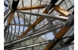 Charpente bois des voiles de verre de la Fondation Louis-Vuitton, Frank Gehry architecte. - Crédit photo : DAUZAT Louis-Marie