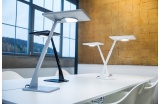 Trilux- Dans les bureaux, la lumière se fait individuelle et connectée pour s’ajuster aux réels besoins des utilisateurs. - Crédit photo : DR  
