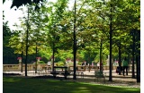 Jardin du Luxembourg - Crédit photo : CAILLE Emmanuel