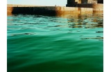 Point de vue du noyé, Cherbourg, 2012 - Crédit photo : dr -