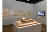 Rétrospective Frank Gehry au Centre Pompidou - Crédit photo : MIGEAT Philippe