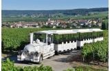 Le Petit train des vignobles de Champagne - Crédit photo : Jolyot Michel