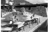 Les étudiants à Taliesin West lors d'une session de dessin en plein air, en 1940.  - Crédit photo : The Frank Lloyd Wright Foundation Archives -