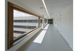 Couloir entièrement vitré de le Landesklinikum Thermenregion Mödling en Autriche,  - Crédit photo : Atelier Julien Boidot