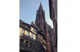 Strasbourg, aperçu sur la cathédrale. - Crédit photo : MOUTON Benjamin