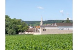 Agrandissement du domaine Jacques Prieur à Meursault, Côte-d'Or (2023) - Crédit photo : BOEGLY Luc